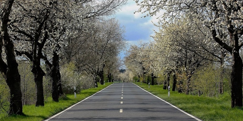 Amt Temnitz: Allee nach Kränzlin  Amt Temnitz: Allee nach Kränzlin