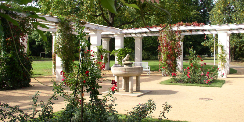 Forst (Lausitz): Ostdeutscher Rosengarten  Forst (Lausitz): Ostdeutscher Rosengarten