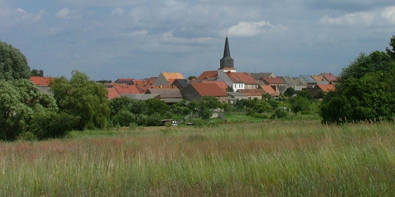 Friedland: Panorama