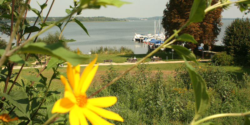 Schwielowsee: Der Schwielowsee Schwielowsee: Der Schwielowsee