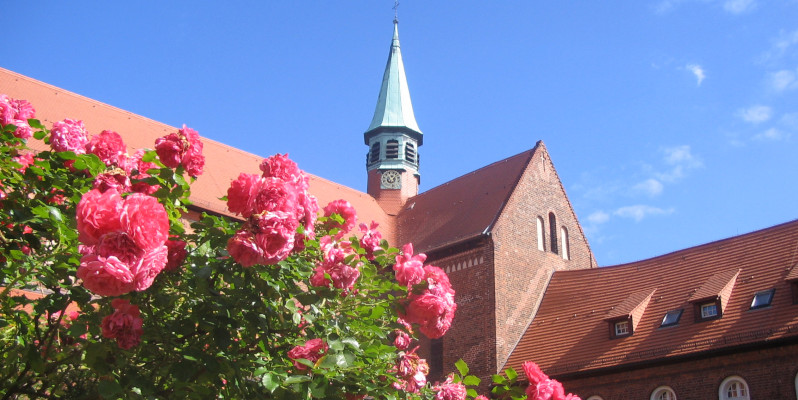 Kloster Lehnin: Klostergelände