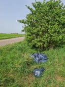 Foto: Ablagerung diverser Müllsäcke 